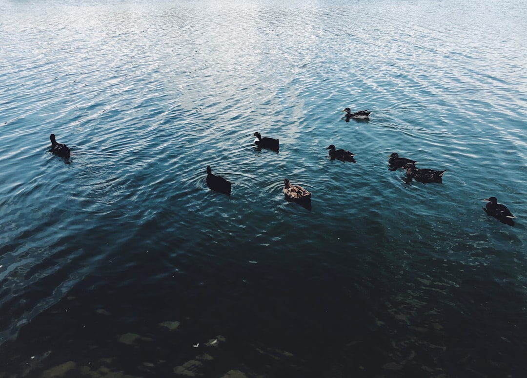 9 Göl için Eylem Planı Hazır! Bakan Yumaklı'dan Açıklama