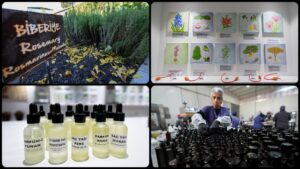 Anadolu-nun-g-zellik-tarifleri-T-rk-kozmetik-sekt-r-ne-yeni-1-1