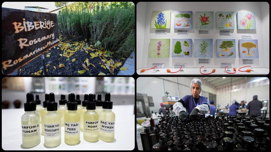 Anadolu-nun-g-zellik-tarifleri-T-rk-kozmetik-sekt-r-ne-yeni-1-1