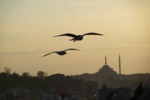 Asgari-cret-zamm-nda-kritik-g-n-2