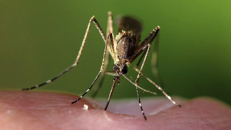 Bilim-insanlar-iklim-de-i-ikli-inin-hayvanlardan-bula-an-has