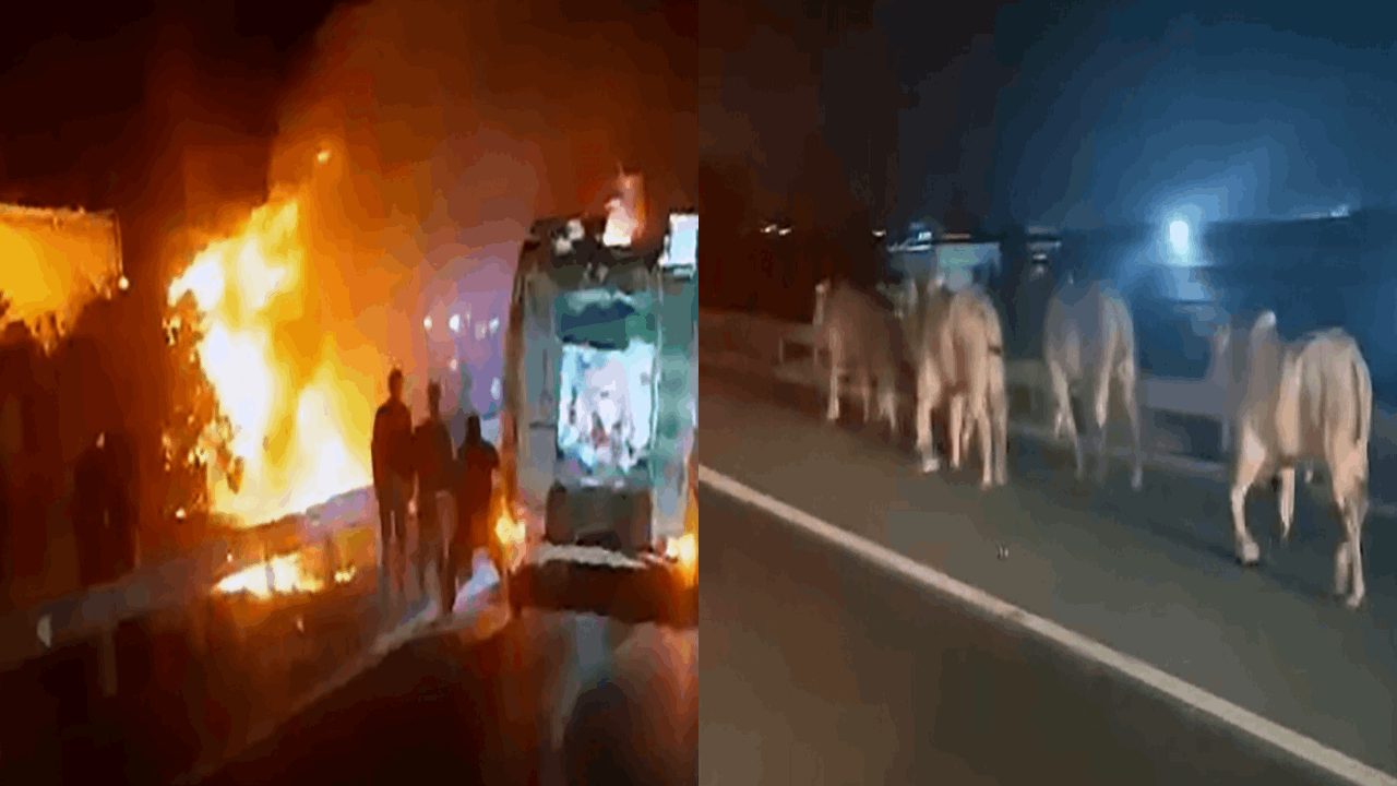 Devrilip-yanan-TIR-daki-2-ki-i-ld-Alevlerden-ka-an-anguslar-