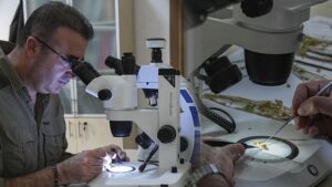 Emekli-retmen-do-a-y-r-y-nde-yeni-bir-t-r-ke-fetti-Koruma-al