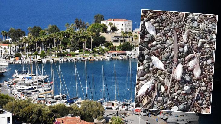 G-zde-turizm-beldesinde-tedirgin-eden-g-r-nt-Ekipler-incelem