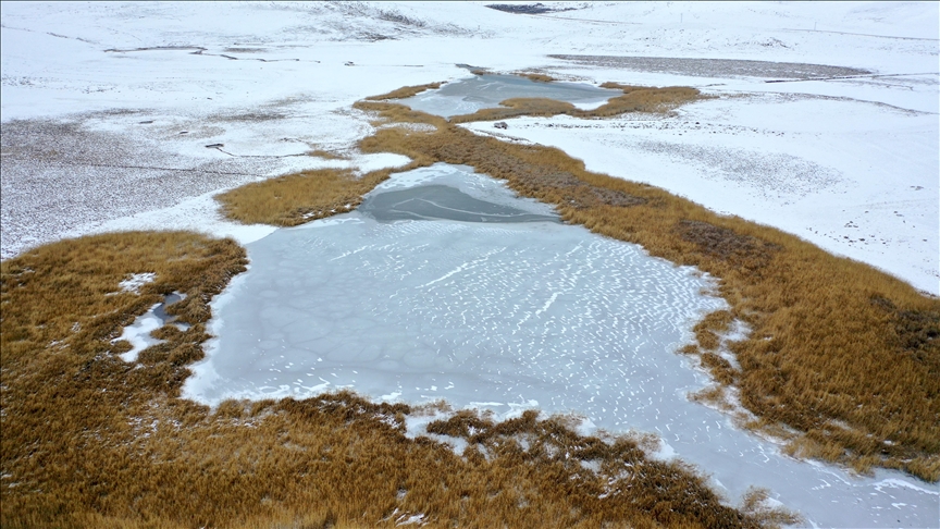 Kars-taki-tescilli-Lava-G-l-n-n-y-zeyi-dondu
