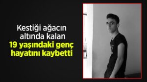 Kesti-i-a-ac-n-alt-nda-kalan-19-ya-ndaki-gen-hayat-n-kaybett