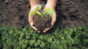 T-rkiye-nin-klim-El-ileri-Milliyet-e-konu-tu-COP31-de-biz-de-1