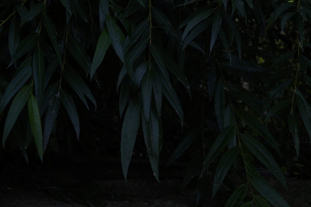 BIST 100 Endeksi Yüzde 0,62 Arttı