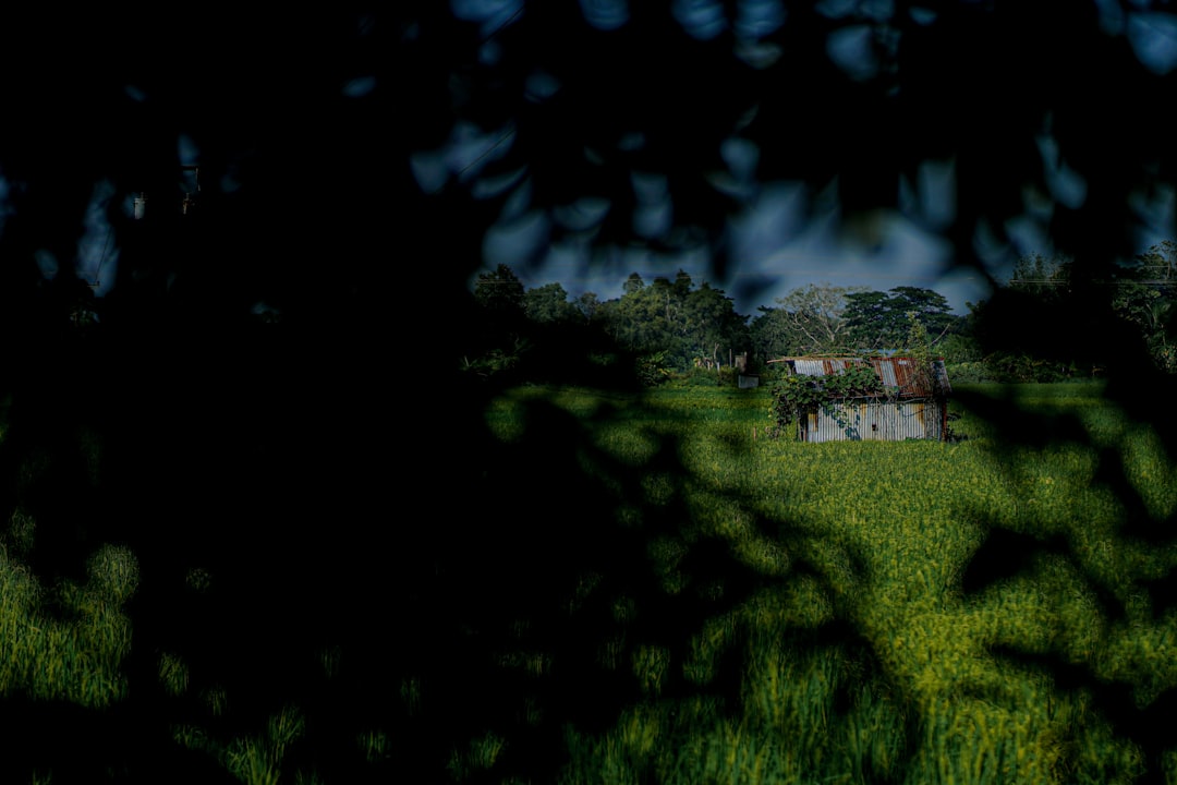 Bu Köyde Gündüz 3 Saat Sürüyor: "Güneş 12'de Doğuyor, 15'te Yeniden