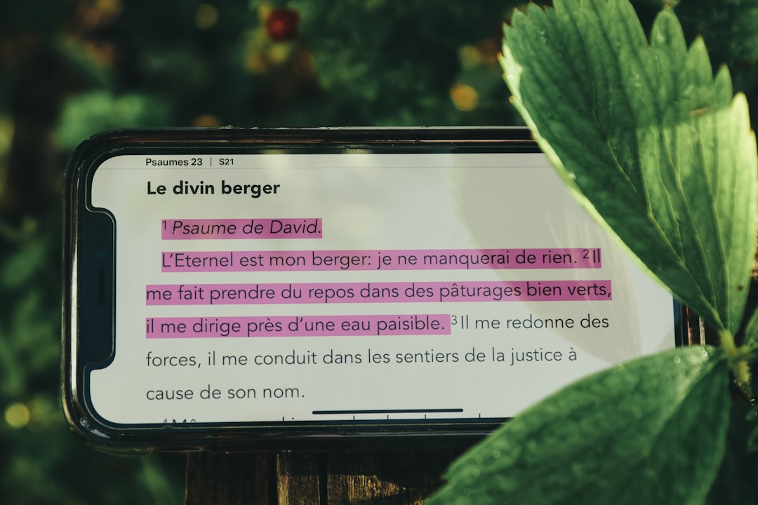 BUDO Seferleri İptal Edildi