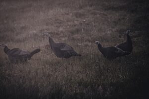 Döner Kanat Hava Araçları Simülatörleri için Stratejik Ortaklık