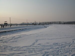 Doğu Karadeniz'de Kar Yağışı Fındık Üretimi için Umut Verdi