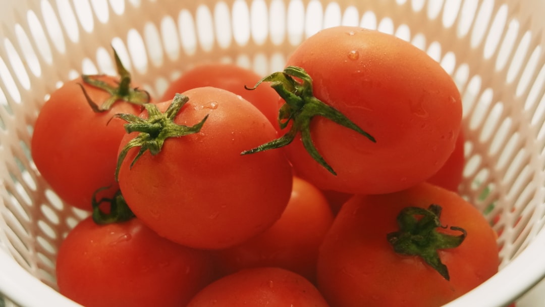 Domates ile Yenilebilir Aşılara Adım Atılıyor