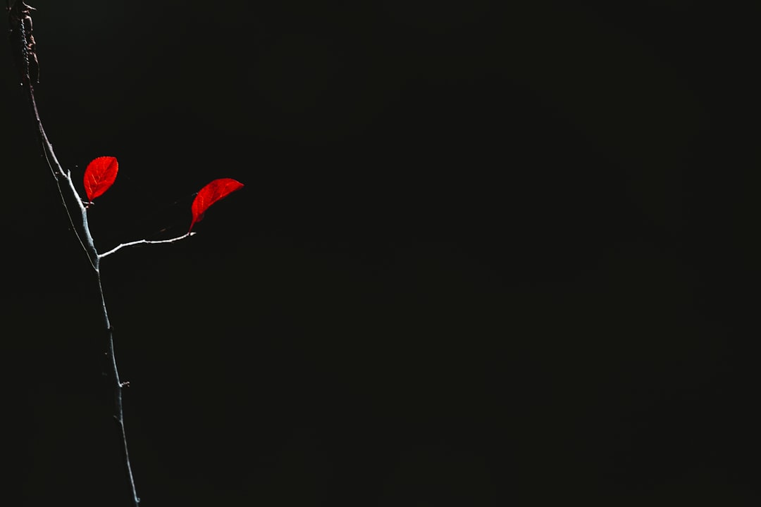 Emekli Olacaklar Dikkat! Yeni Yıla Bırakan 118 Bin TL Fazla Ödeyecek