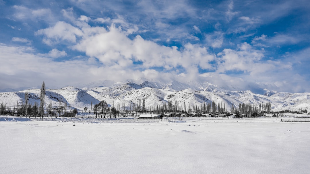 Erzincan'da Kar Yağışı Etkili Oluyor
