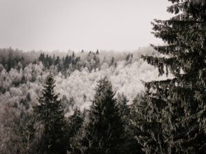 Kar ve Soğuk Hava Etkisi Sürüyor