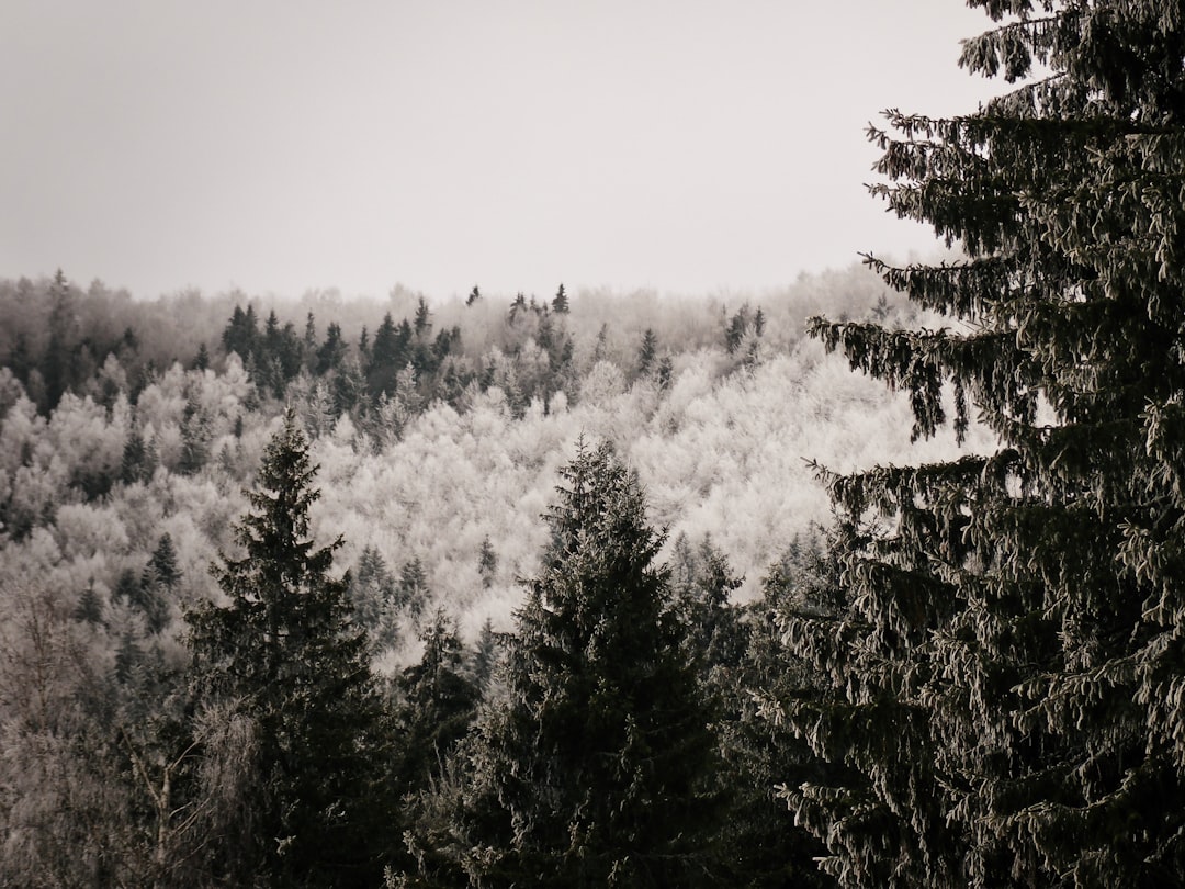Kar ve Soğuk Hava Etkisi Sürüyor