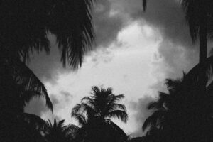 Karadeniz Fırtınası: İnebolu ve Abana'da Dev Dalgalar