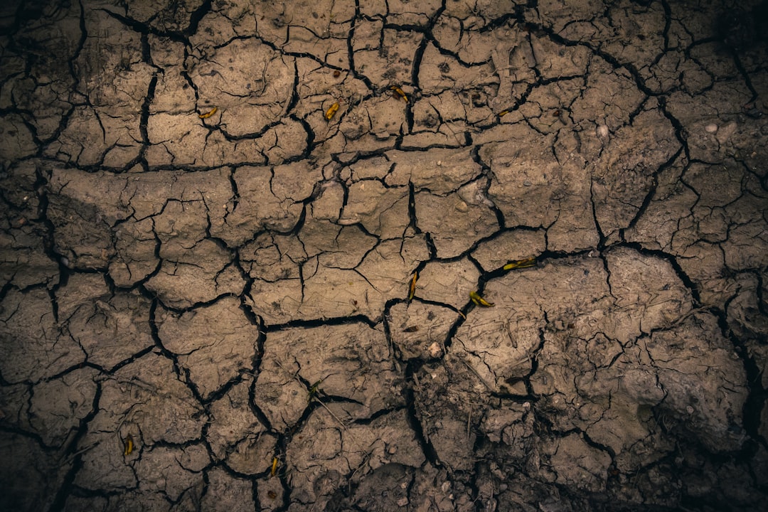 Kuraklık Etkileri Devam Ediyor