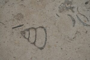 Menemen FK, 1461 Trabzon'u Yarı Finalde Karşıladı