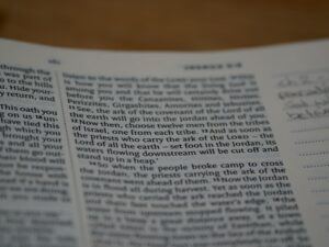 Merserize Kelimesinin Kökeni Nereden Gelmektedir?