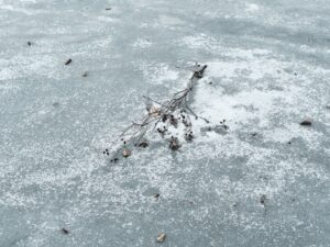 Meteoroloji Uyarmıştı: Lodos İstanbul'u Teslim Aldı