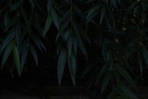 Meysu Gıda Halka Arzına Hazırlanıyor