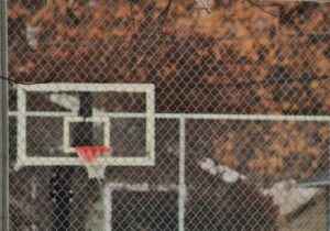 NBA'de Russell Westbrook, Asist Sıralamasında Magic Johnson'ı Geride B