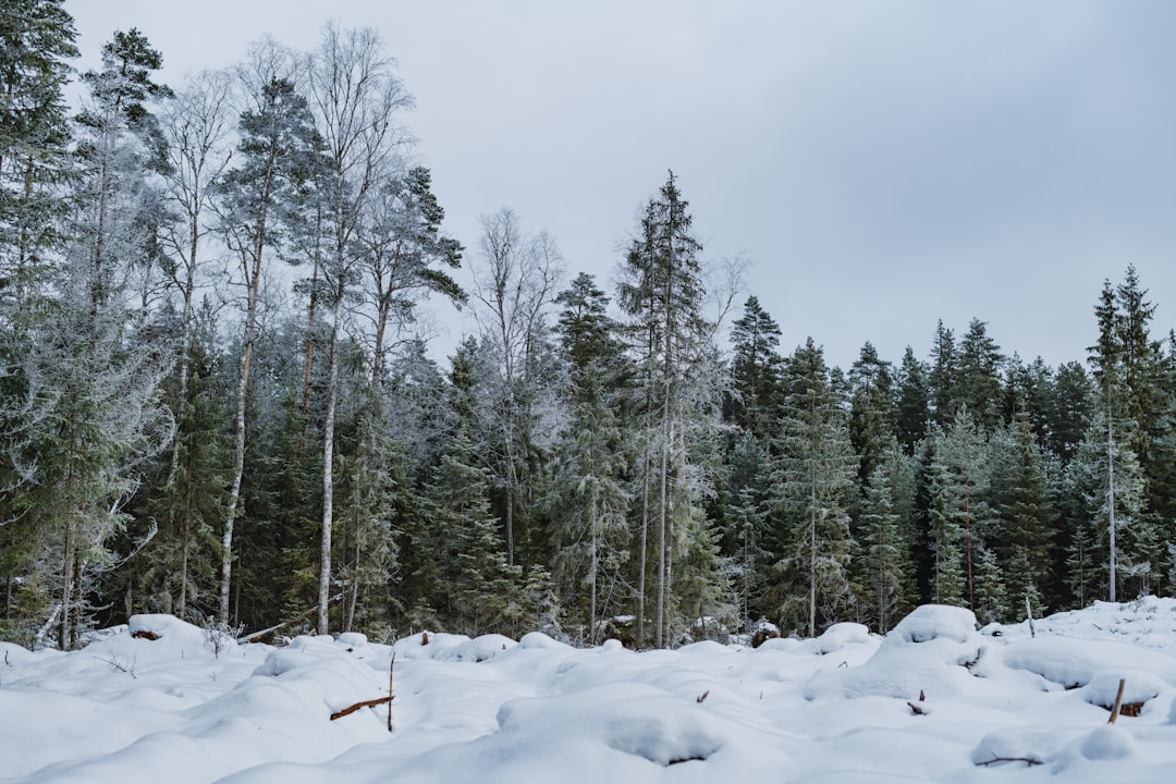 Pat Finn Hayatını Kaybetti
