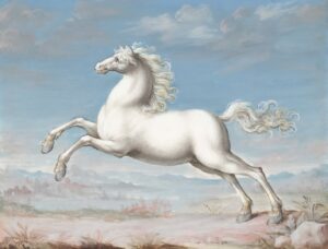 Pegasus 30 Seferini İptal Etti