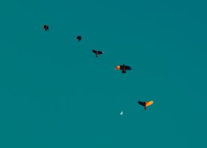 Rockets, Clippers'a Kaybetti