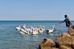 Sahil Güvenlik, Karadeniz ile Van Gölü'nde Yılbaşında da Görev Başında