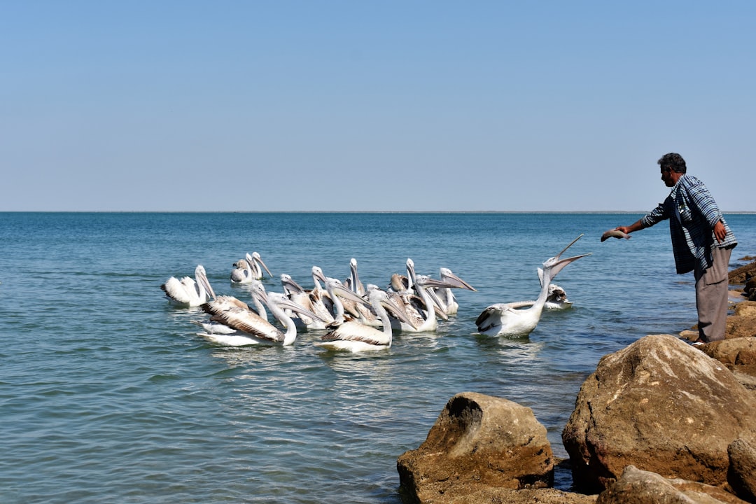 Sahil Güvenlik, Karadeniz ile Van Gölü'nde Yılbaşında da Görev Başında