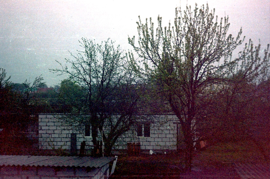 Samsunspor, Kupa'da Eyüpspor'u Mağlup Etti