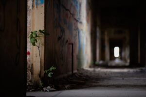 Sarıkamış Harekatı'nın 111. Yıl Dönümü Mesajı