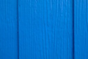 Sinop'ta Mavi Yengeç Etkisi