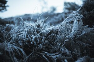 Soğuk Hava Etkisi Sürüyor: Kars ve Ardahan'da Yaşamı Etkiler