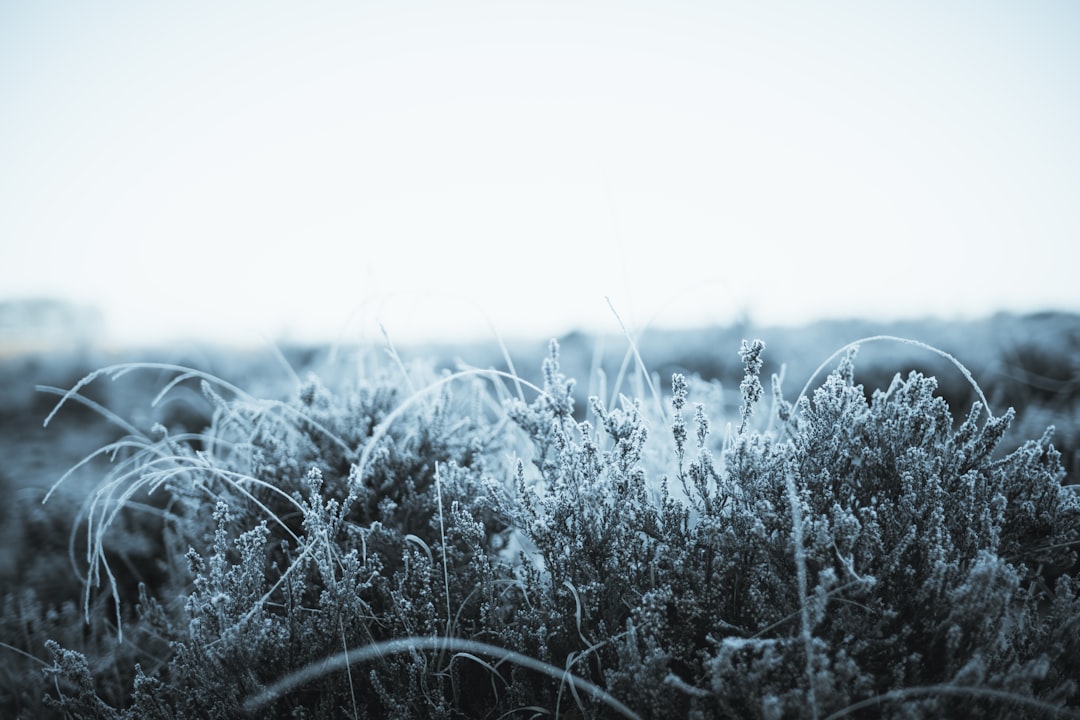 Soğuk Havalı Hafta: 10-15 Gün Etkisi