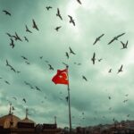 Türk Hava Yolları'nın 100. Kuruluş Yılında 813 Uçağa Erişeceği Belir