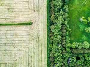 Tarım ve Orman Bakanlığı 81 İle Yiyecek ve İçecek Üretim Yerlerini D