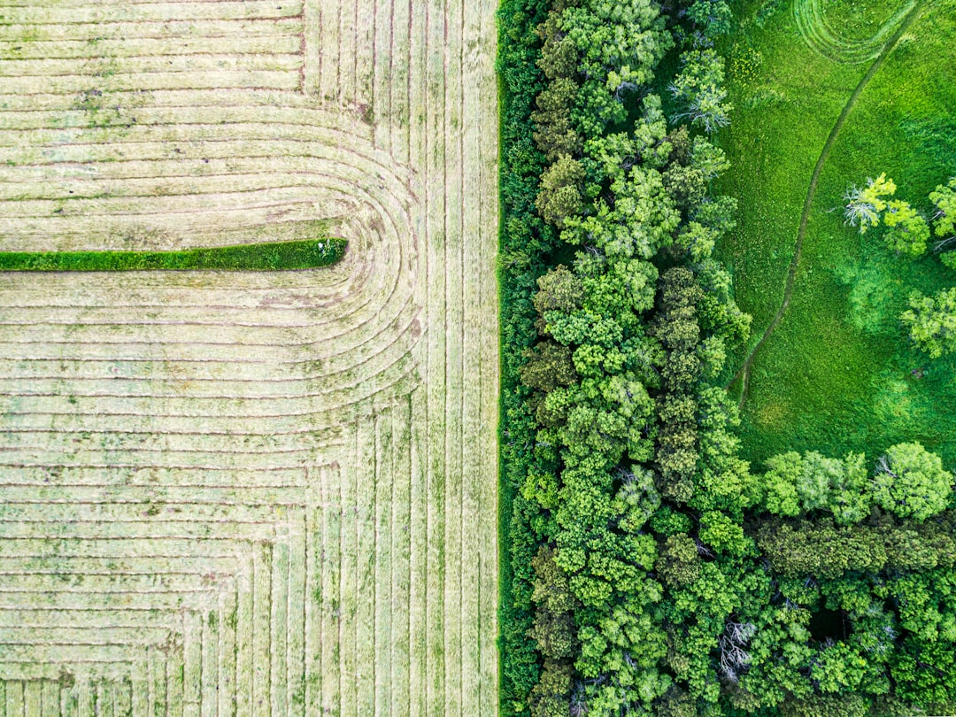 Tarım ve Orman Bakanlığı 81 İle Yiyecek ve İçecek Üretim Yerlerini D
