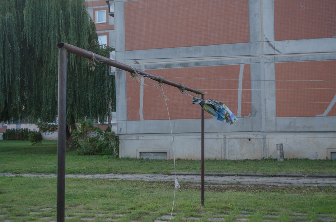 Trabzonspor'un Brezilyalı Oyuncusu Felipe Augusto: "Forma Uğruna Her