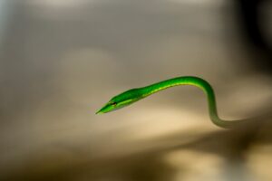 Yeni Yıla İlişkin Vergi ve Harçlar Yeniden Değerleme Oranı Altında Art
