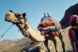 1 Ocak Berber ve Kuaförler Açık Mı?