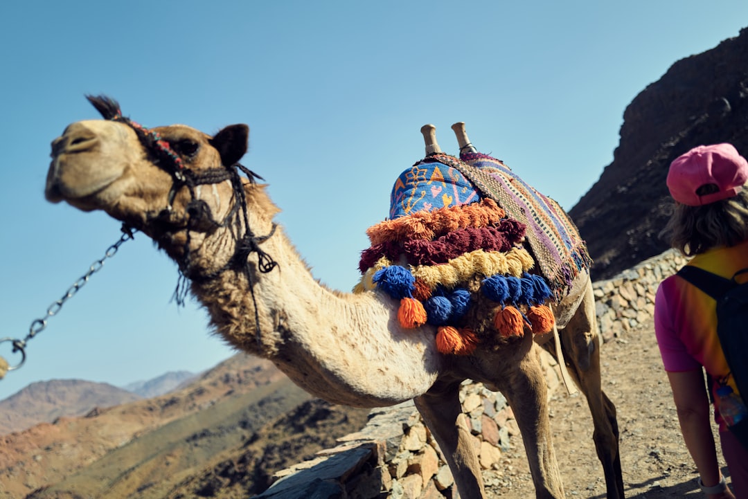 1 Ocak Berber ve Kuaförler Açık Mı?
