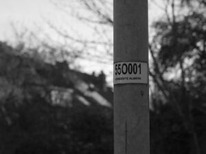 500 Bin Sosyal Konut Projesi'nde Değişiklik Yok