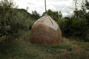 Ajet Yurt İçi Bilet Kampanyası Başladı
