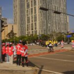 At Saçlılarındaki Renkli Formalar Neden Seçiliyor?