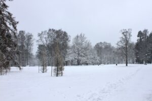Avrupa'da Zorlu Kış Şartları Nedeniyle Yüzlerce Uçuşta İptal ve Geci