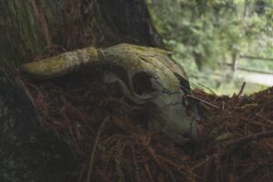 Ayşen Gruda'nın Vefatının 7. Yılı